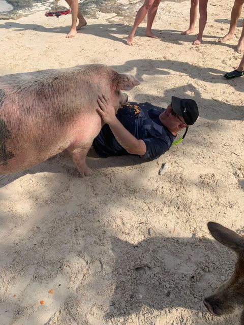 Nassau: Self-Drive Speedboat Ride and Pig Swimming Encounter - Testimonials