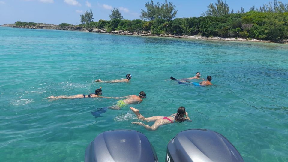 Nassau: Swim With Sharks, Swimming Pigs Tour - Highlighted Experiences