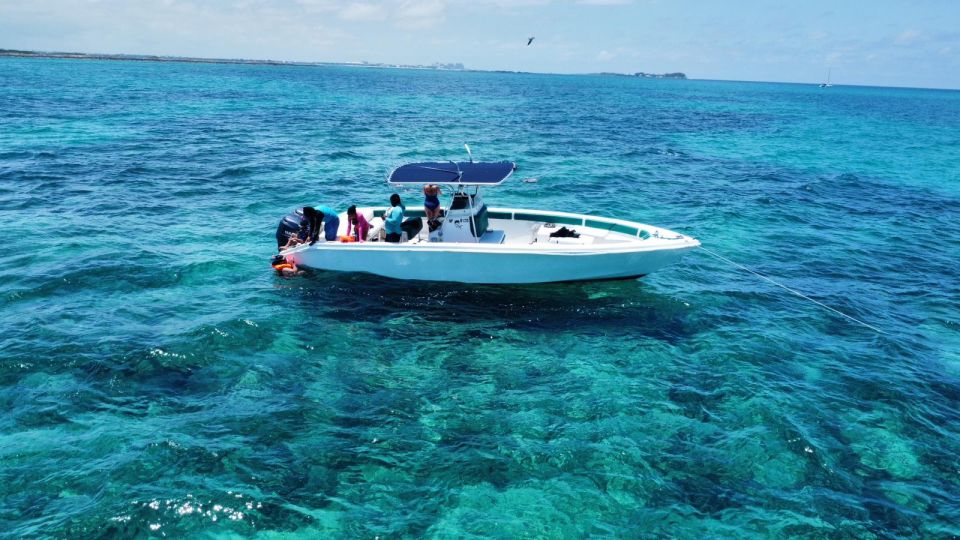 Nassau: Swimming Pigs Private Boat Tour - Up to 7 Persons - Customer Reviews