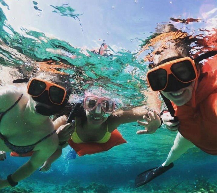 Nassau: Swimming Pigs, Snorkeling W/Turtles Lunch Beach Club - Inclusions and Experiences