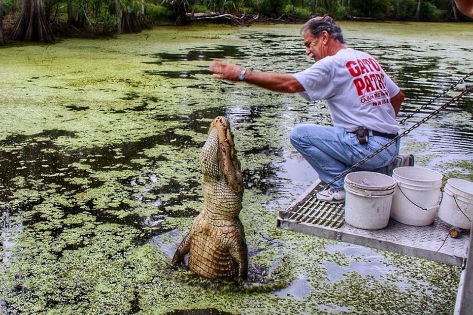 New Orleans: Swamp Boat Ride and Historic Plantation Tour - Pricing Details