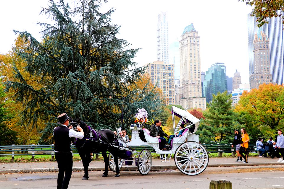NYC: Guided Standard Central Park Carriage Ride (4 Adults) - Itinerary Information
