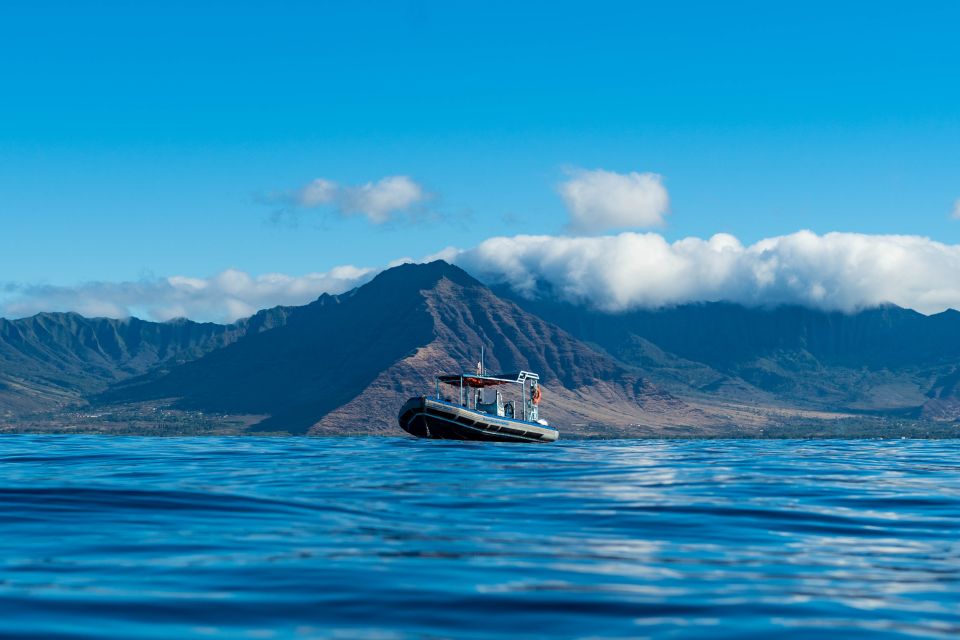 Oahu: Dolphin Swim and Snorkeling Speedboat Tour - Optional Activities