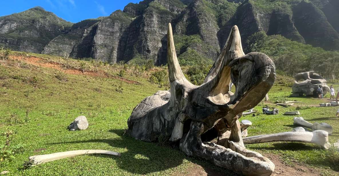 Oahu: Kualoa Movie Sites, Jungle, and Buffet Tour Package - Inclusions and Pricing Details