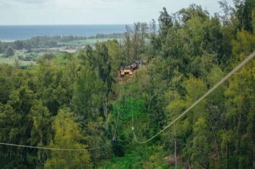 Oahu: North Shore Zip Line Adventure With Farm Tour - Customer Reviews