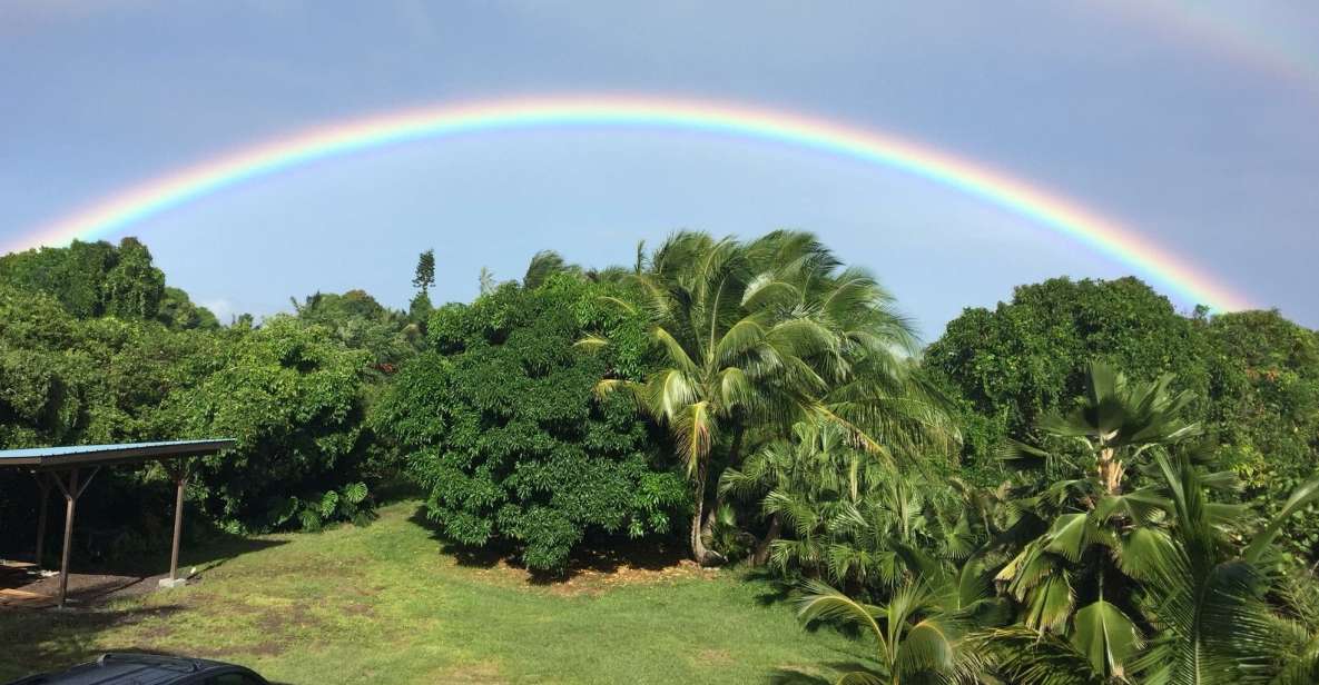 Oahu: Private Island Tour - Important Information