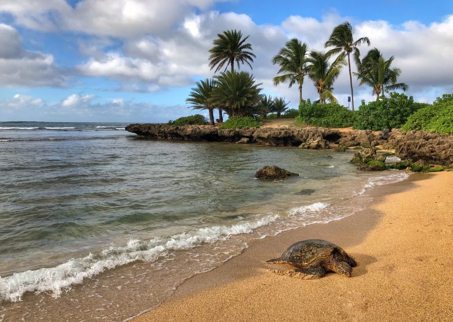 Oahu: Sunrise & Full-Day Island Photo Tour With Small Group - Sum Up