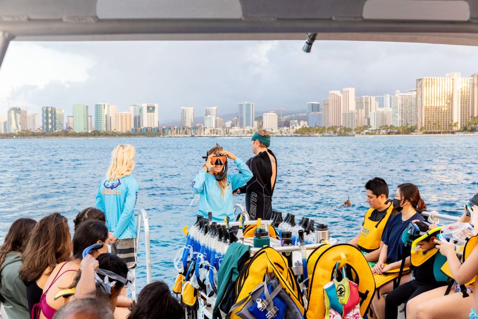 Oahu: Waikiki Turtle Canyons Cruise and Snorkel Excursion - Customer Feedback