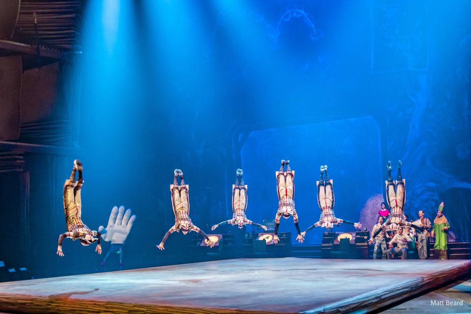 Orlando: "Drawn to Life" Cirque Du Soleil Entry Pass - Cancellation Policy