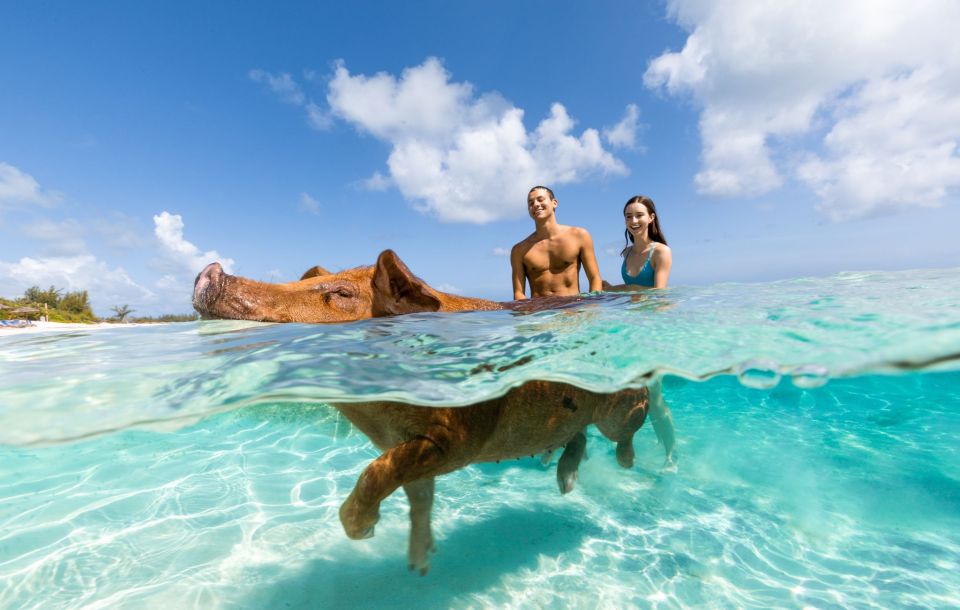 Paradise Island: Rose Island Tour With Swimming Pigs & Lunch - Customer Reviews