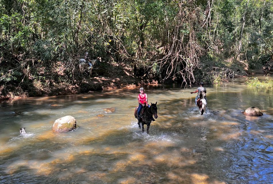 Paraty: 3-Hour Rainforest Horseback Ride - Booking and Logistics