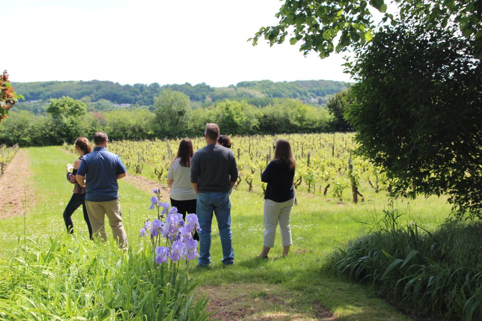 Paris: Loire Valley Chambord Castle, Wine Tasting & Lunch - Important Information