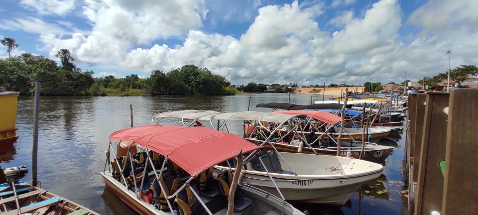 Preguicas River Speedboat Tour - Full Description