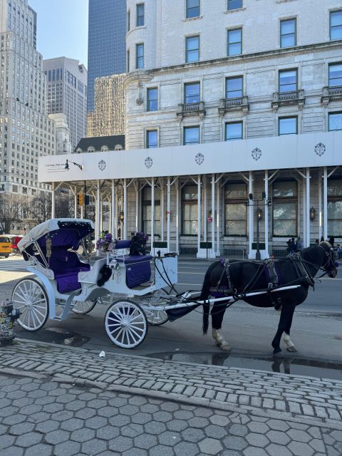 Private NYC Lights or Christmas Lights Horse Carriage Tour - Additional Information