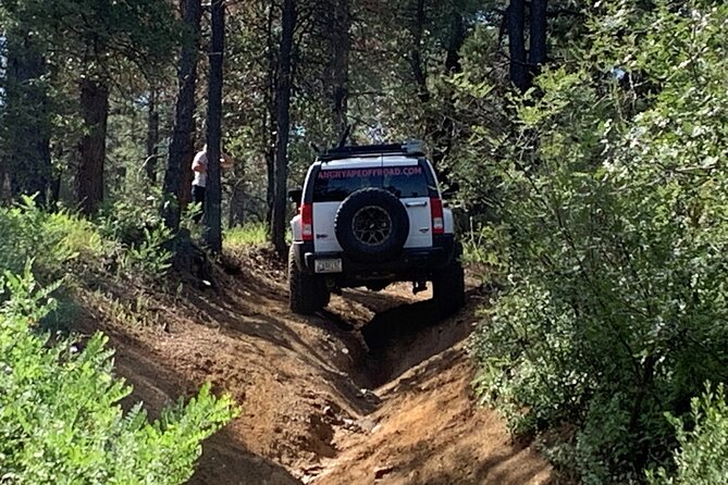 Private Off Road Adventure Tours in the Prescott National Forest - Photography and Souvenir Opportunities