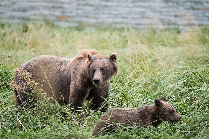 Private Photography Tour to Haines - Skagway Departure - Traveler Photos and Reviews