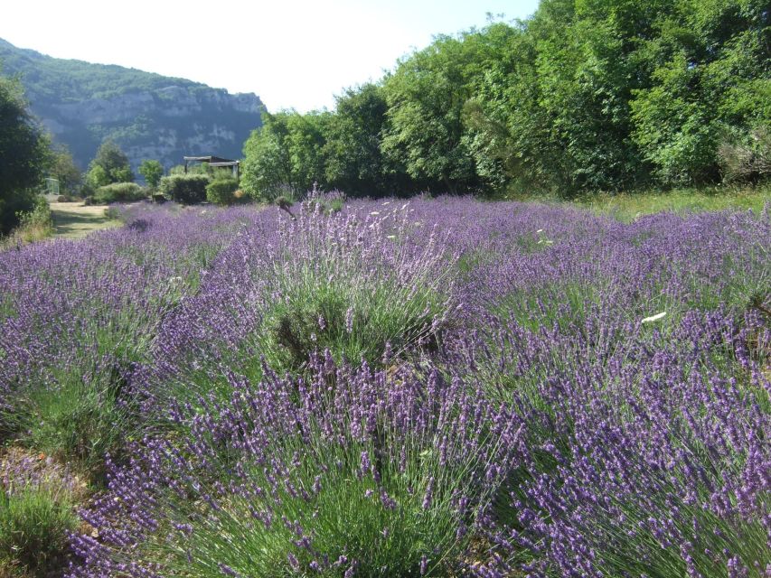 Provencal Countryside, Medieval Village & Lake Private Tour - Directions and Booking Process