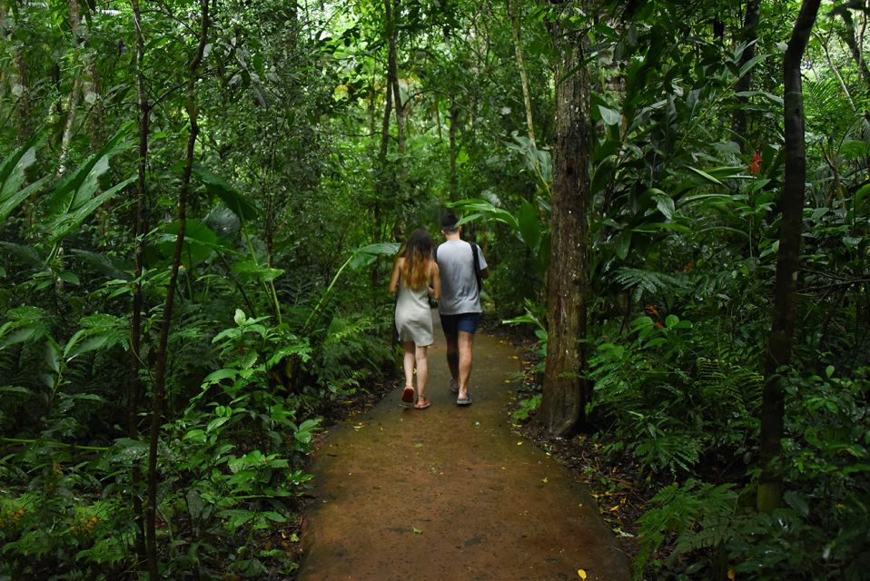 Puerto Iguazu: Iguaza Falls Brazilian Side & Bird Park Tour - Recommendations