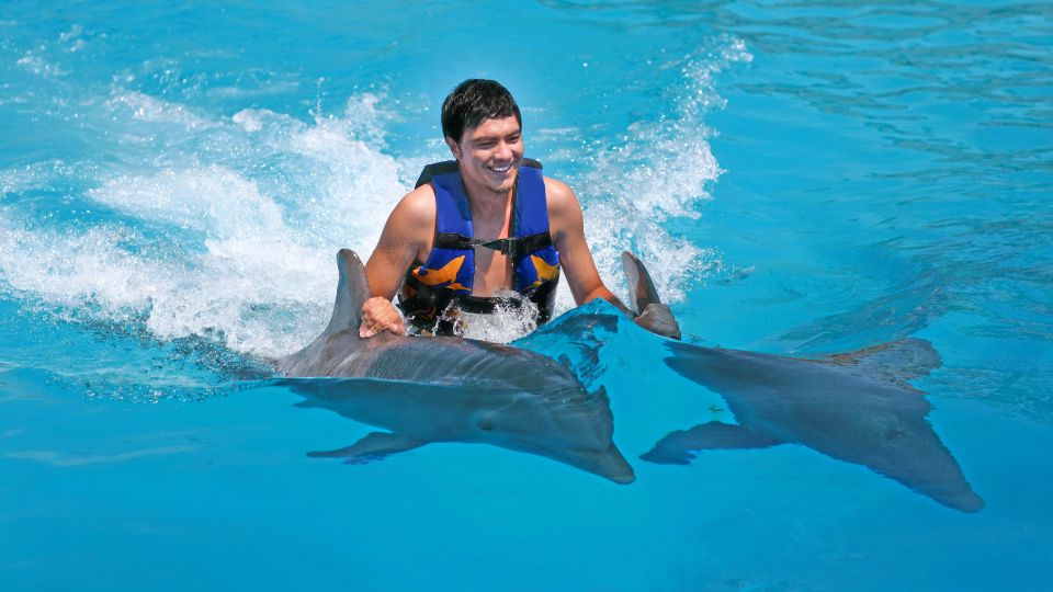 Punta Cana: Dolphin Discovery Swims and Encounters - Safety Measures and Guidelines