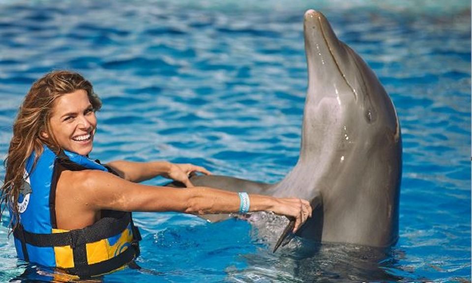 Punta Cana: Swim With Dolphins in the Pool - Customer Reviews
