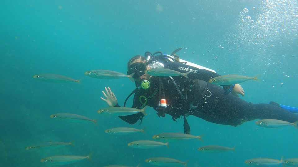 Rio De Janeiro: Arraial Do Cabo Scuba Diving Day Trip - Highlights and Benefits