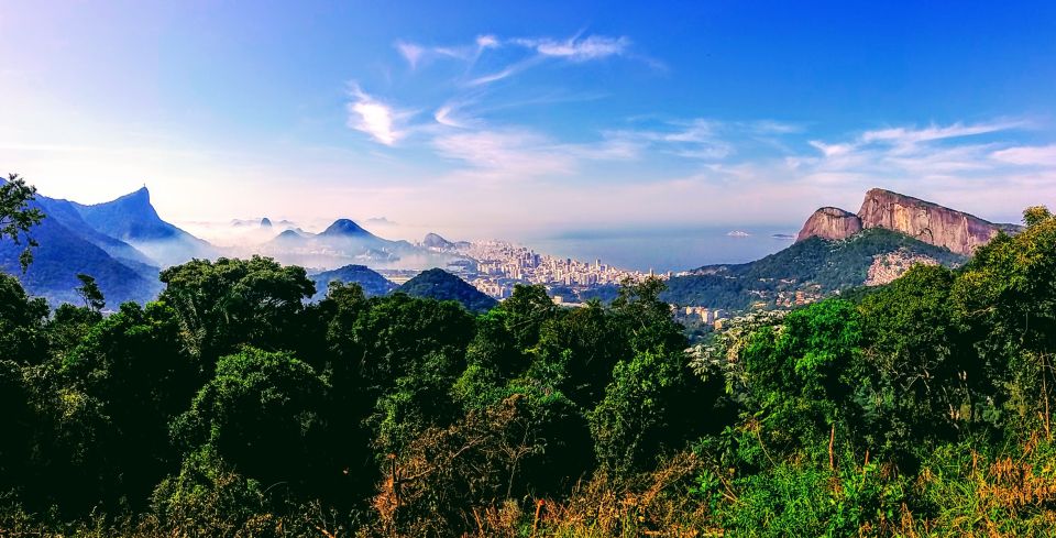 Rio De Janeiro: Eco City Tour - Wildlife Spotting and Ecosystem Exploration