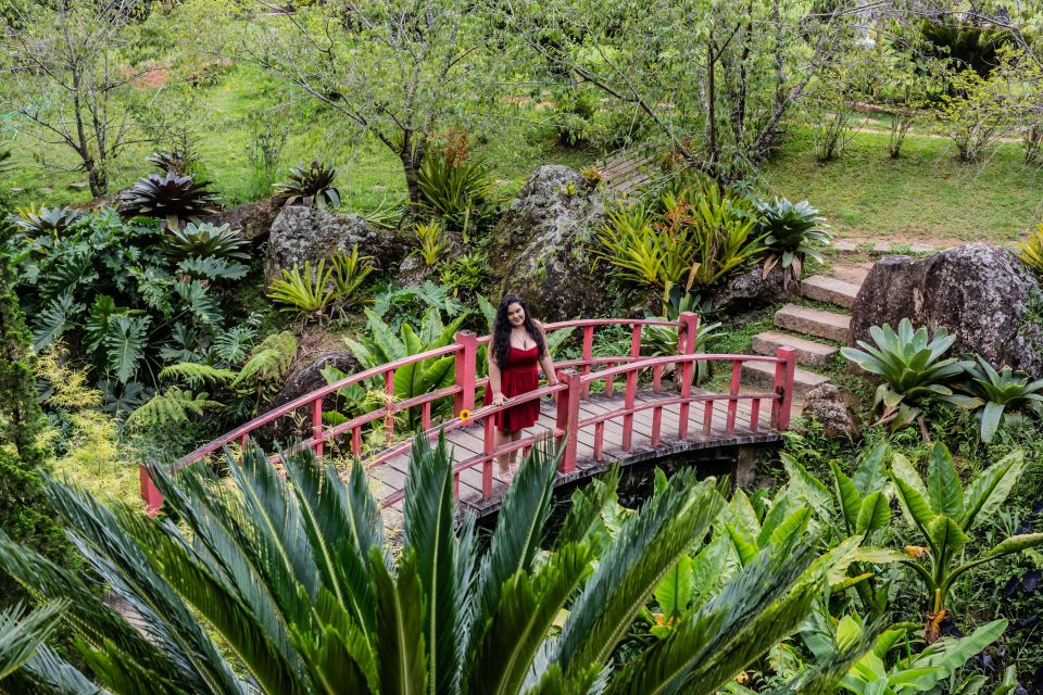 Rio De Janeiro: Great Photos in Amazing Backgrounds - Urban Jungle Backdrops