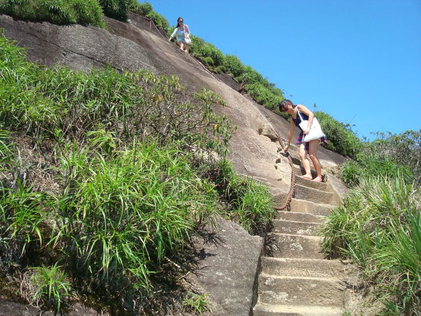 Rio De Janeiro: Tijuca's Peak Hiking Tour - Tour Experience