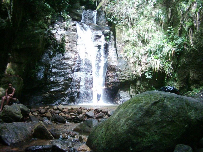 Rio: Tijuca Forest & Horto Waterfalls Circuit Tour - Common questions