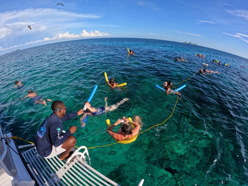 Rose Island: Swimming With Pigs, Snorkeling and Lunch - Important Information
