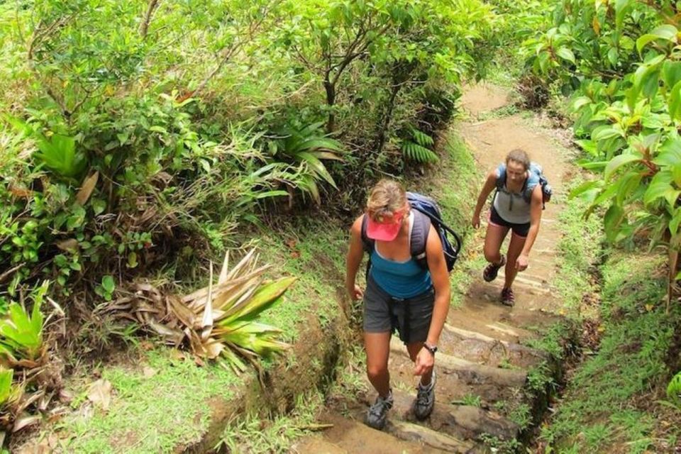 Roseau: Boiling Lake Challenge Hiking Tour With Local Guide - Meeting Point and Important Information