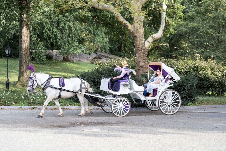 Royal Carriage Ride in Central Park NYC - Meeting Point Details