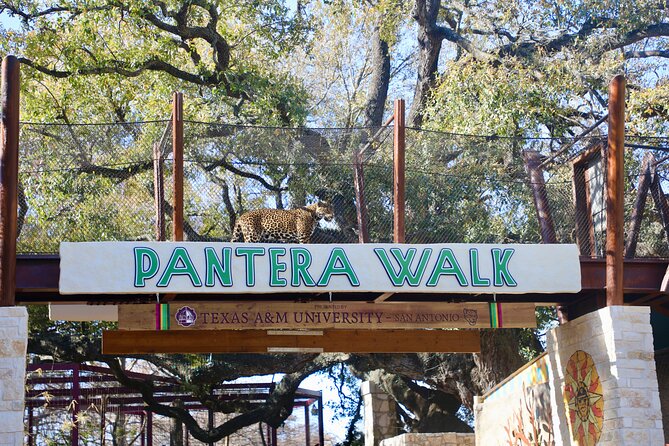 San Antonio Zoo General Admission Ticket - Visitor Tips for Zoo Visit