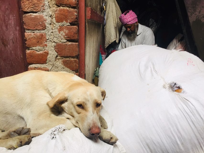 Sanjay Colony Slum Tour - Common questions