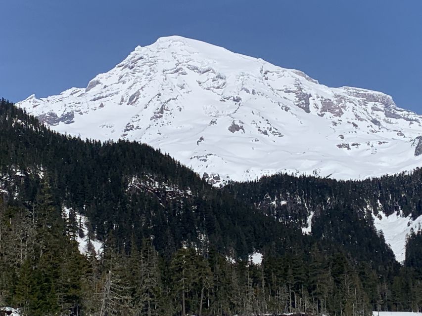 Seattle: Mt. Rainier Hiking W/ Waterfalls, Glaciers & Trees - Common questions