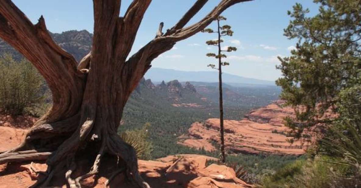 Sedona: 2-Hour Colorado Plateau Scenic Tour - Key Points