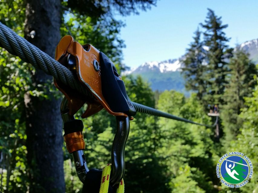 Seward: Stoney Creek Canopy Adventure - Booking Information