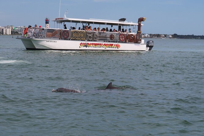 Shark Teeth and Shells, Dolphin and Shelling Tour Boat Clearwater Beach - Clearwater Beach Exploration