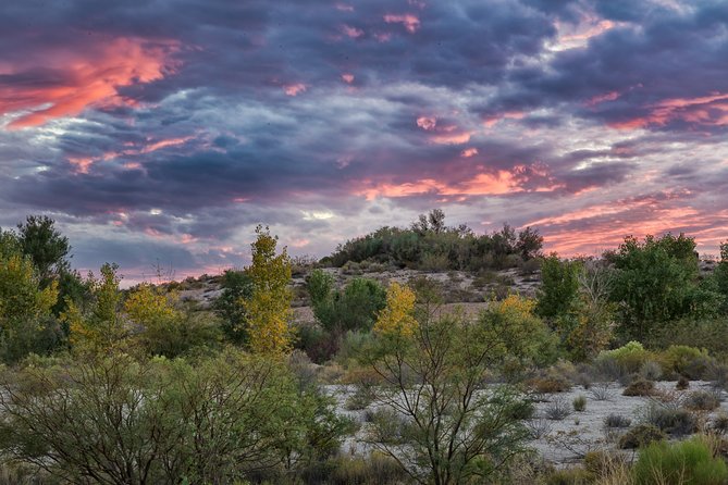 Skip the Line: Springs Preserve in Las Vegas Admission Ticket - Traveler Resources and Support