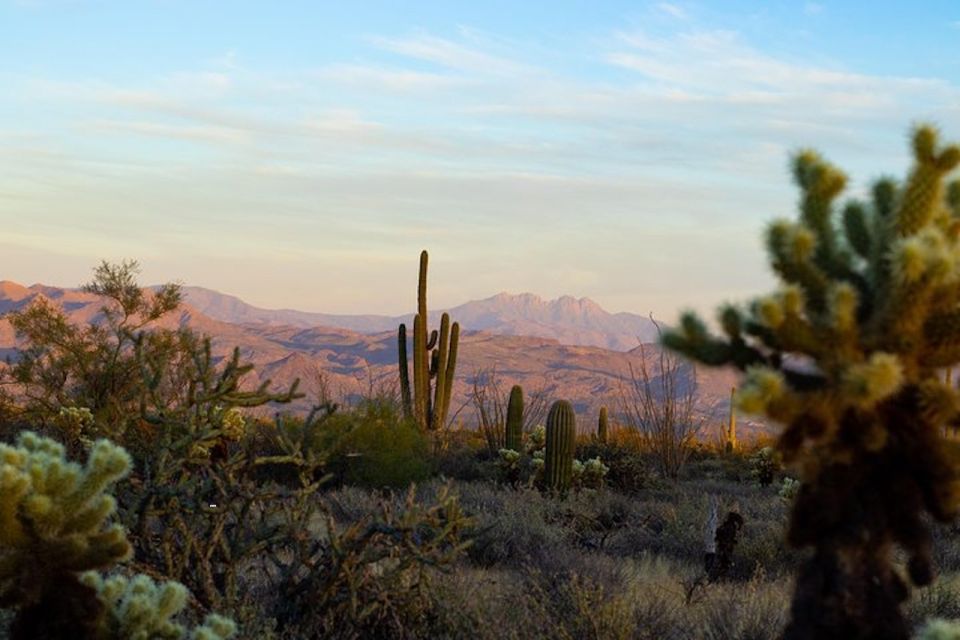 Sonoran Desert: Sunset Jeep Tour With Tonto National Forest - Sum Up