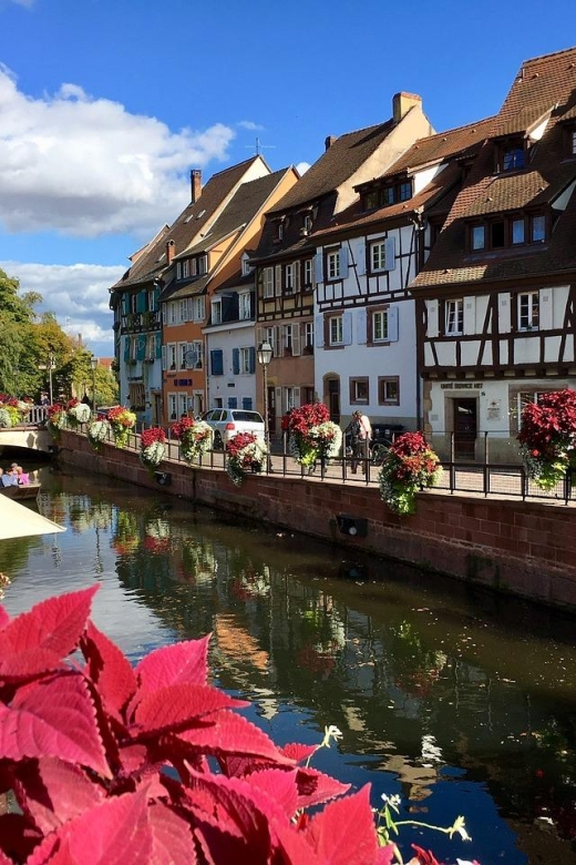Strasbourg: Wine Tasting Private Tour - Booking Information and Policies