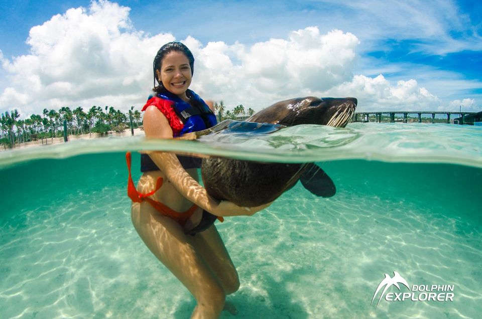 Swim With Dolphins in Punta Cana - Activity Details