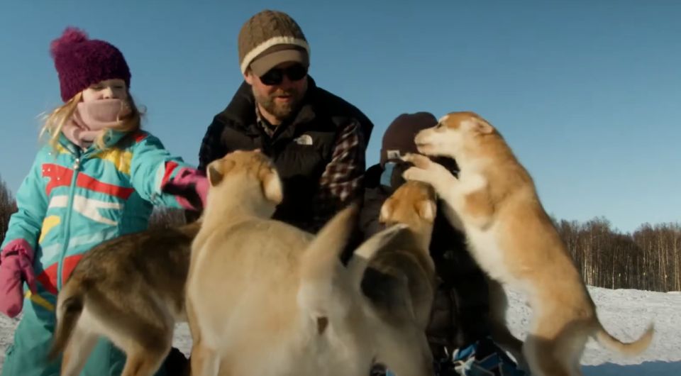 Talkeetna: Alaskan Winter Dog Sledding Experience - Sum Up