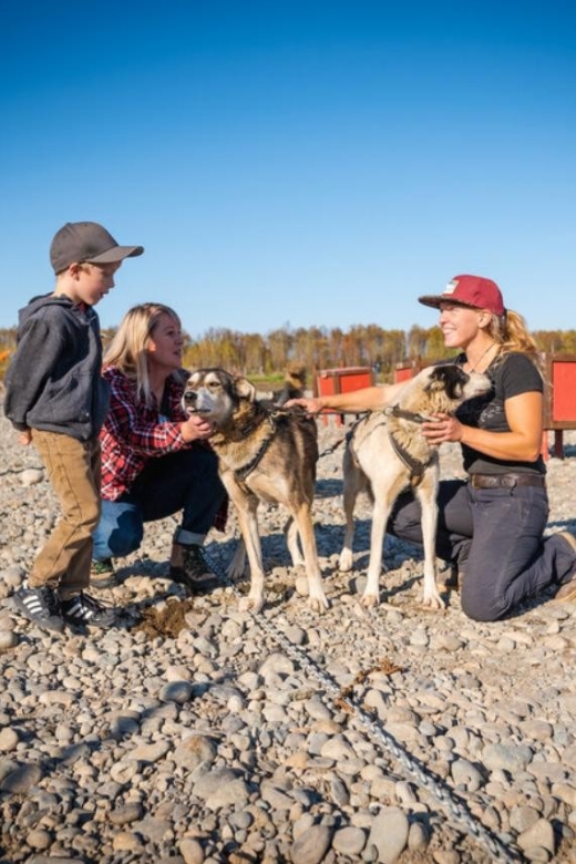 Talkeetna: Mushing Experience With Iditarod Champion Dogs - Availability and Starting Times