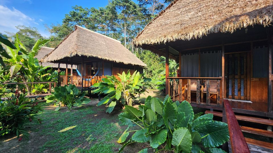 Tambopata All in One - Booking