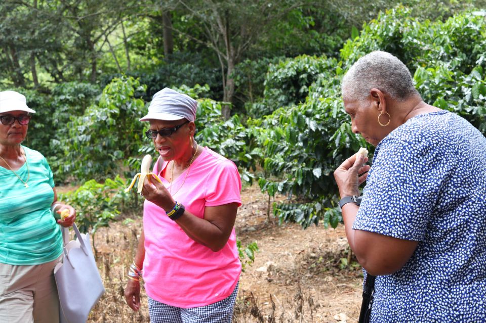 Taste of Jamaica Farm & Food Tour - Important Information for Participants