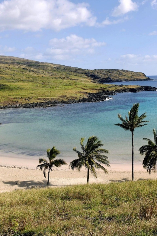 The Moai Factory: the Mystery Behind the Volcanic Stone Stat - Hidden History of Rapa Nui