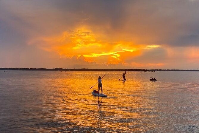 Titusville Sunset and Night Bioluminescence Kayak Paddle Tour  - Cocoa Beach - What To Expect