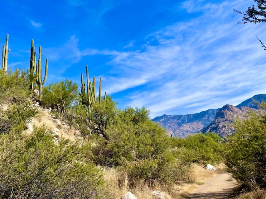 Tuscon: Rancho De Los Cerros Horseback Riding Tour - Common questions