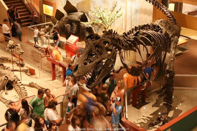 Two Smithsonian Museums: American & Natural History Private Tour - Visitor Experience